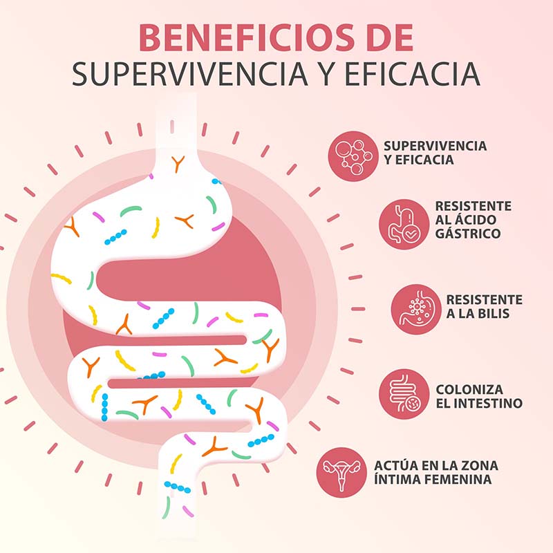 Cápsulas PROBIOTICOS MUJER - A - Probiotics Women Health avaliação e preço